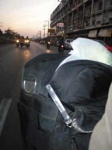 Name:  P1010329.jpg
Views: 385
Size:  21.1 KB