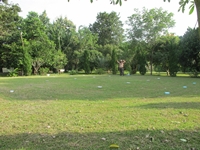 Name:  IMG_2380.JPG
Views: 412
Size:  45.2 KB