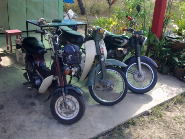 Name:  03012011066.jpg
Views: 665
Size:  51.5 KB