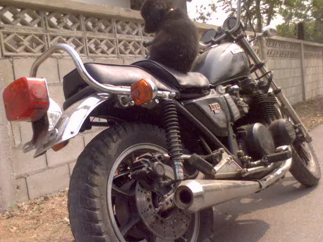 Name:  DSC00010.JPG
Views: 2507
Size:  43.3 KB