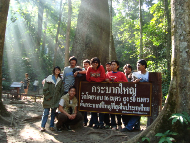 Name:  DSC09319.JPG
Views: 294
Size:  138.5 KB