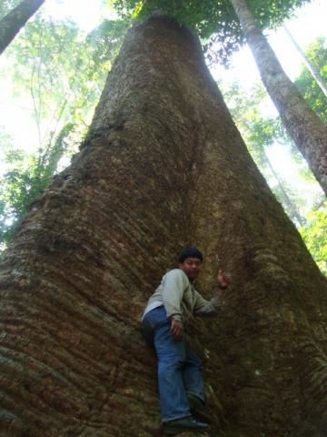 Name:  DSC09308.jpg
Views: 288
Size:  30.8 KB