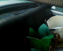 Name:  IMG0113A.jpg
Views: 3658
Size:  8.8 KB