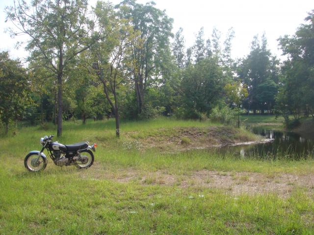 Name:  DSC07838.jpg
Views: 167
Size:  67.5 KB