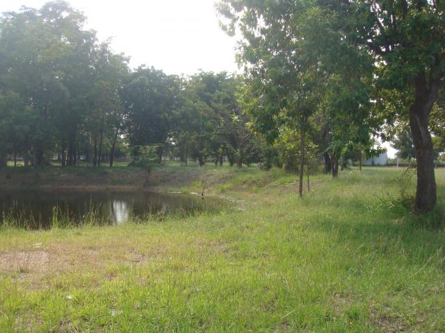 Name:  DSC07839.jpg
Views: 150
Size:  58.4 KB