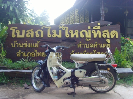 Name:  SNV33164.JPG
Views: 77
Size:  105.6 KB