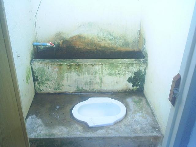 Name:  PIC_0141.jpg
Views: 2745
Size:  33.2 KB