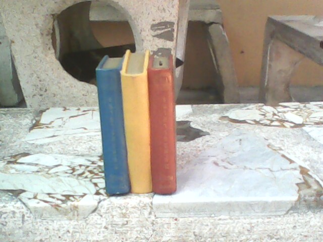 Name:  IMG0198A.jpg
Views: 1285
Size:  70.3 KB