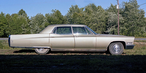 Name:  4386437289_d6daee140f[1].jpg
Views: 4232
Size:  116.7 KB