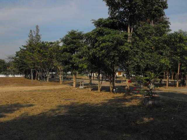 Name:  DSCF5492.jpg
Views: 118
Size:  54.0 KB