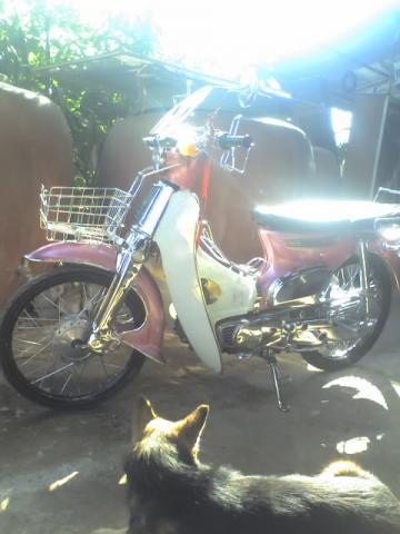 Name:  21-01-11_0929.jpg
Views: 180
Size:  25.5 KB