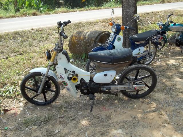 Name:  100_0257.jpg
Views: 767
Size:  83.2 KB