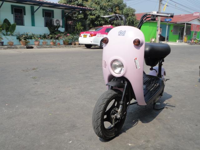 Name:  DSC00690.jpg
Views: 869
Size:  46.4 KB