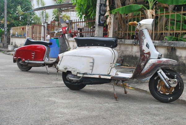 Name:  DSC_0253.JPG
Views: 237
Size:  97.9 KB
