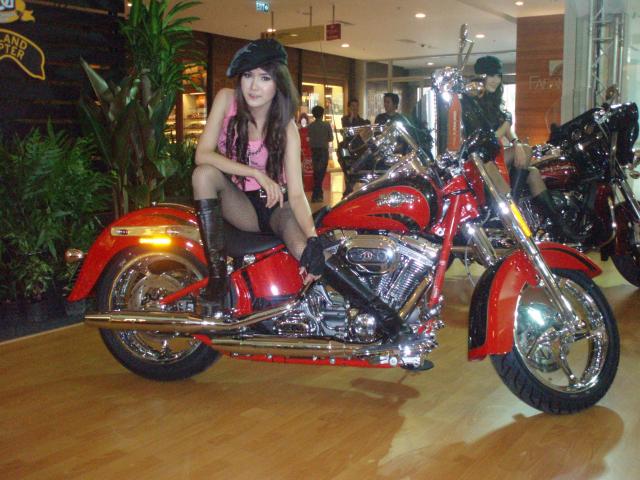 Name:  P1012879.jpg
Views: 228
Size:  58.5 KB