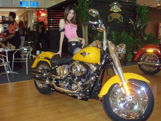 Name:  P1012880.jpg
Views: 216
Size:  61.5 KB