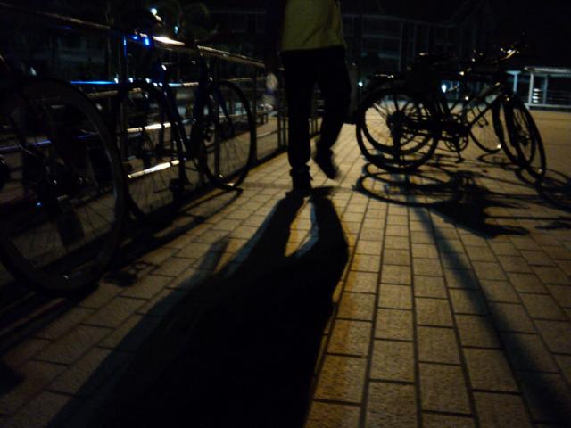 Name:  DSC00527.jpg
Views: 249
Size:  35.8 KB