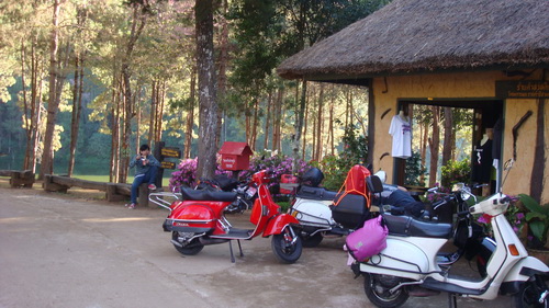 Name:  DSC05587.jpg
Views: 188
Size:  100.5 KB