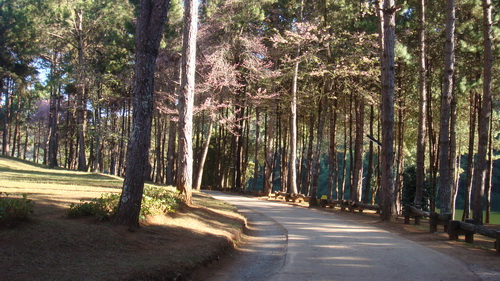 Name:  DSC05588.jpg
Views: 187
Size:  109.0 KB