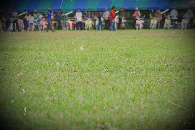 Name:  q19.jpg
Views: 283
Size:  43.6 KB