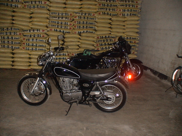 Name:  DSC00288.JPG
Views: 1133
Size:  141.3 KB