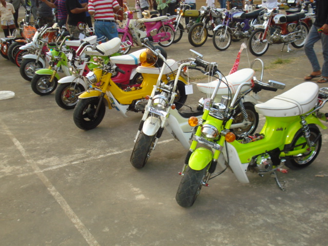 Name:  DSC05608.JPG
Views: 351
Size:  147.7 KB