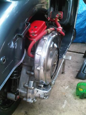 Name:  IMG00682-20101110-1554.jpg
Views: 281
Size:  31.0 KB