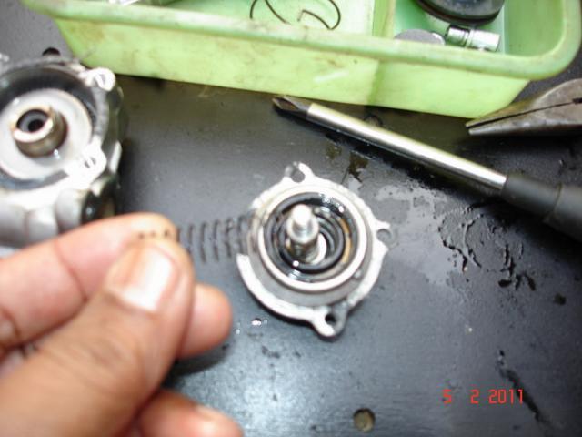 Name:  DSC03667.jpg
Views: 3409
Size:  37.1 KB