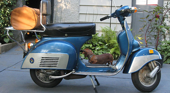 Name:  header_vesparally.jpg
Views: 264
Size:  62.8 KB