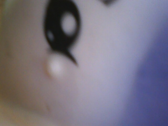 Name:  IMG0481A.jpg
Views: 1173
Size:  29.5 KB