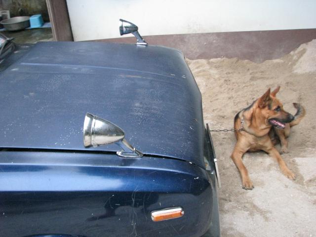 Name:  IMG_1672.jpg
Views: 158
Size:  38.4 KB