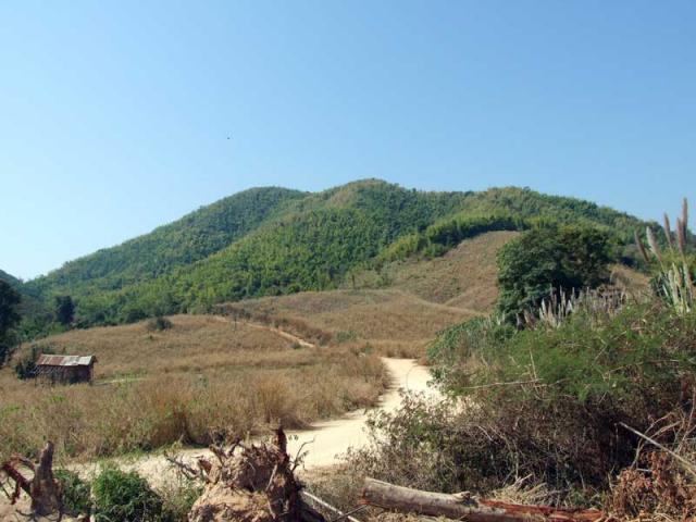 Name:  DSCF7860.jpg
Views: 2023
Size:  48.1 KB