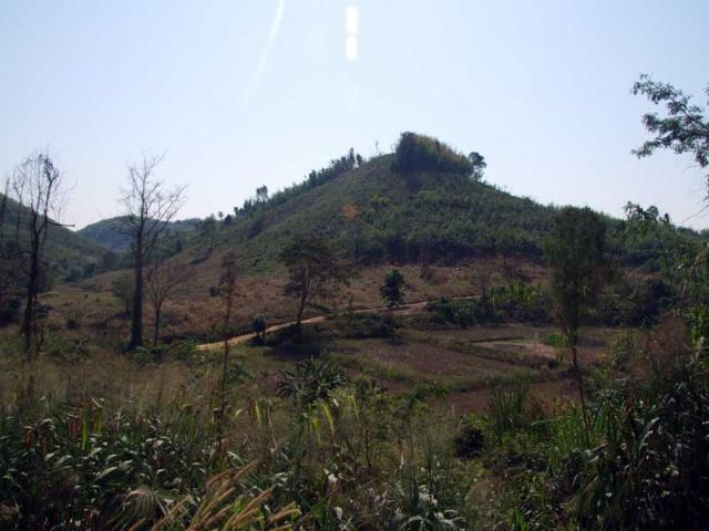 Name:  DSCF7845.jpg
Views: 2191
Size:  43.0 KB