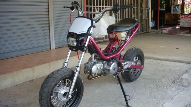 Name:  DSC03170.jpg
Views: 212
Size:  41.8 KB