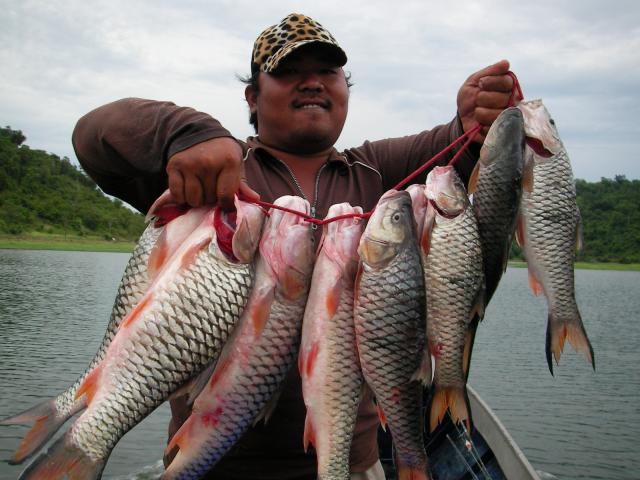 Name:  SANY0097.jpg
Views: 1519
Size:  52.4 KB