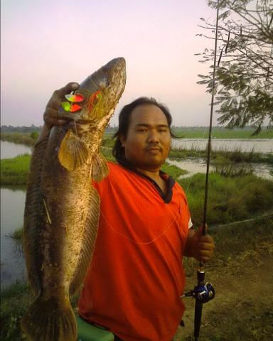 Name:  Ҿ0037.jpg
Views: 1414
Size:  29.7 KB