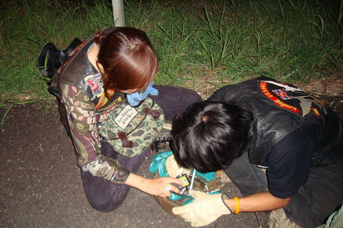Name:  DSC02889.jpg
Views: 383
Size:  82.0 KB