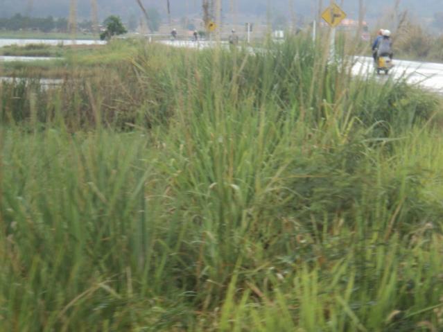 Name:  DSC07093.jpg
Views: 70
Size:  39.4 KB