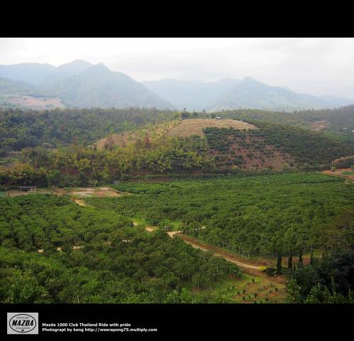 Name:  IMG_4082.jpg
Views: 656
Size:  39.2 KB