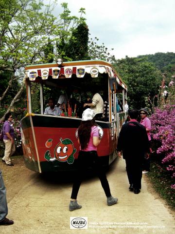 Name:  IMG_4079.jpg
Views: 438
Size:  43.1 KB