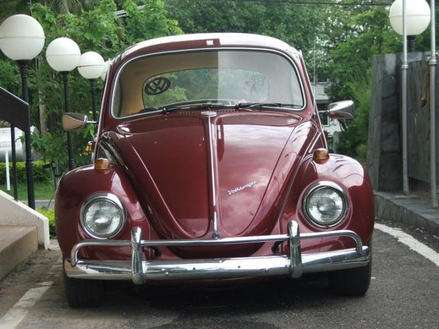 Name:  182405_169939133054541_100001153668318_350394_2448200_n.jpg
Views: 213
Size:  54.4 KB