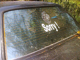 Name:  IMG0022A.jpg
Views: 1110
Size:  51.6 KB