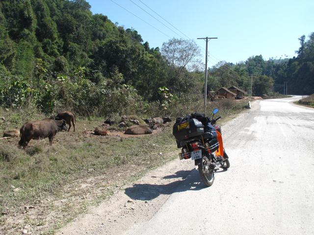 Name:  IMG_3075.jpg
Views: 3225
Size:  67.0 KB