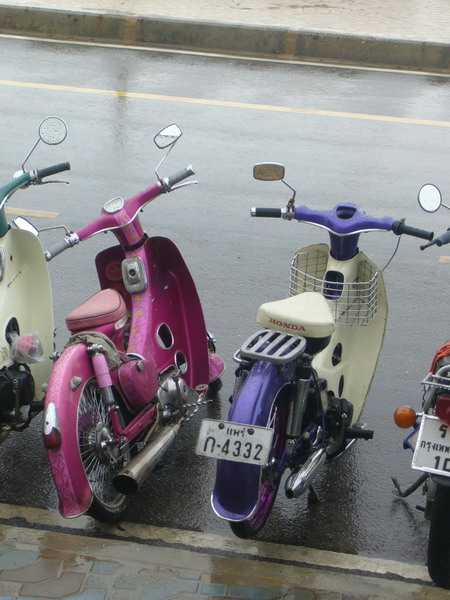 Name:  P1040636.jpg
Views: 327
Size:  99.6 KB