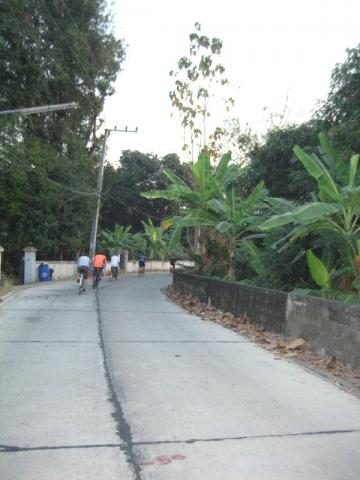 Name:  IMG_8620.jpg
Views: 229
Size:  27.3 KB