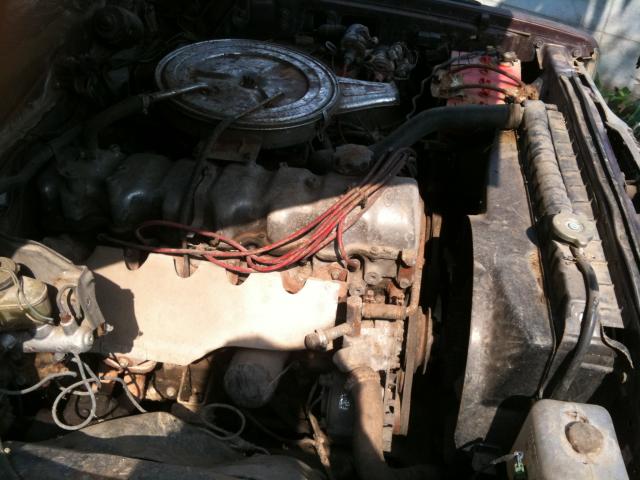Name:  IMG_0028.jpg
Views: 2341
Size:  50.0 KB