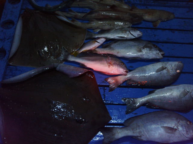 Name:  04-03-11-064014.jpg
Views: 300
Size:  126.8 KB