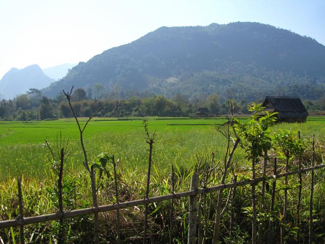 Name:  IMG_3341.jpg
Views: 1779
Size:  61.8 KB