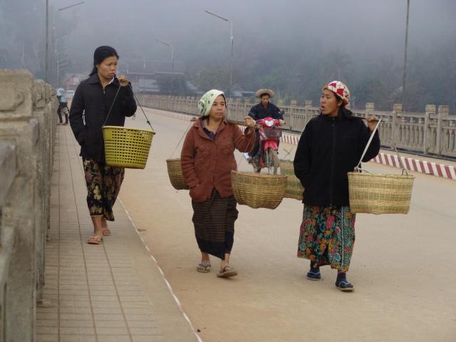 Name:  DSC00100.jpg
Views: 1785
Size:  36.4 KB