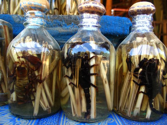 Name:  IMG_3433.jpg
Views: 5194
Size:  66.6 KB